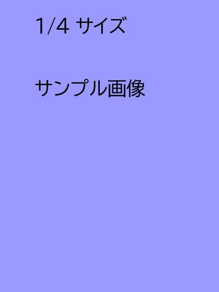 広告サンプル　1/4サイズ　(￥２２，０００－）