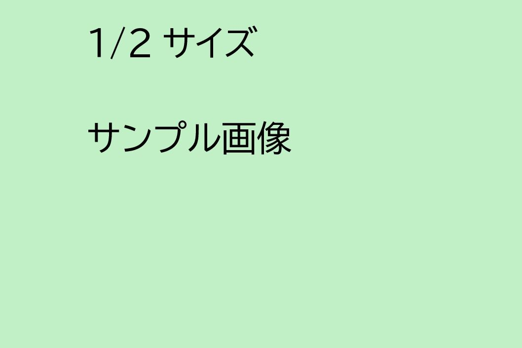 広告サンプル　1/2サイズ　（￥４４，０００－）